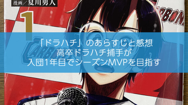 「ドラハチ」のあらすじと感想
